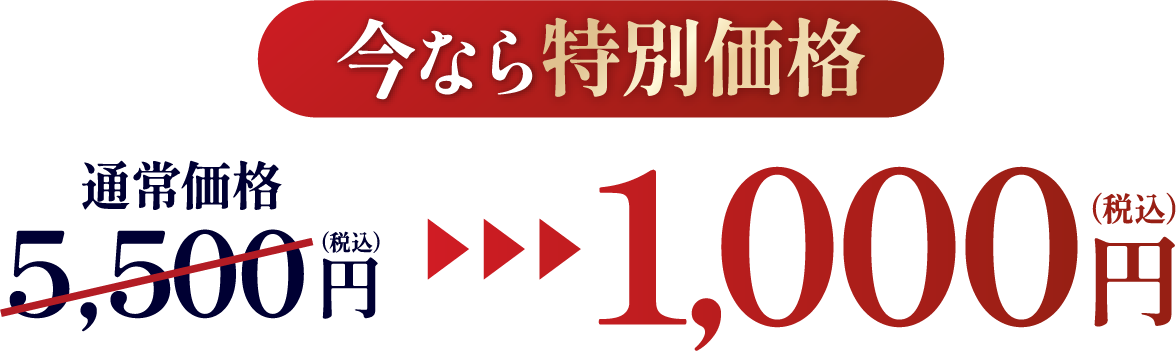 今なら特別価格