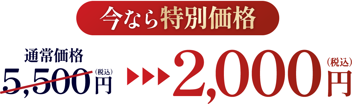 今なら特別価格